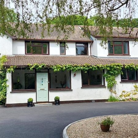 Riverfield Bed And Breakfast Gorey Extérieur photo