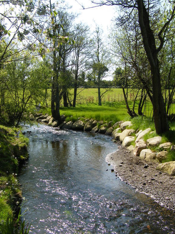 Riverfield Bed And Breakfast Gorey Extérieur photo