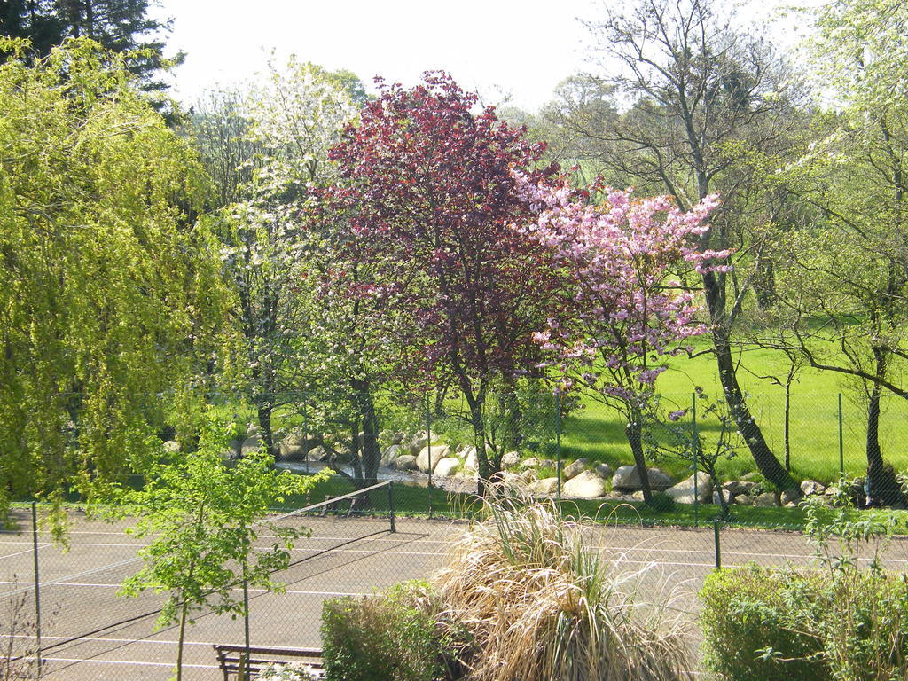 Riverfield Bed And Breakfast Gorey Extérieur photo