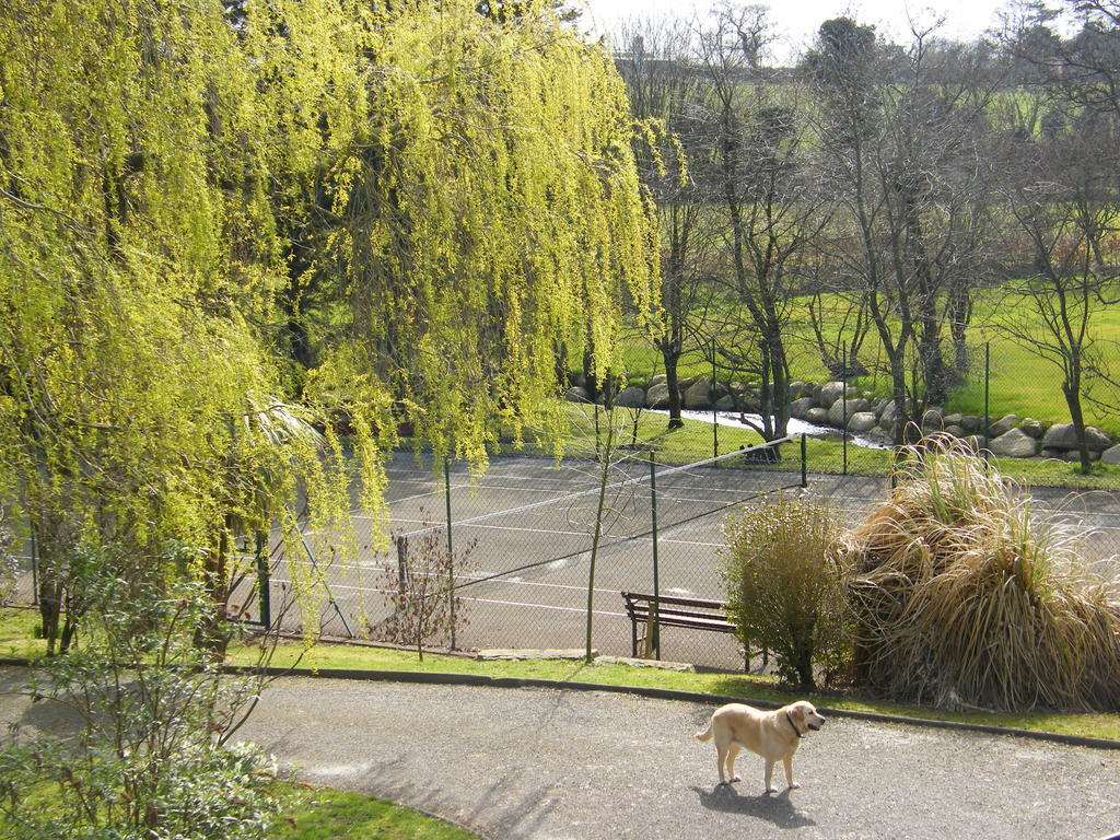 Riverfield Bed And Breakfast Gorey Extérieur photo