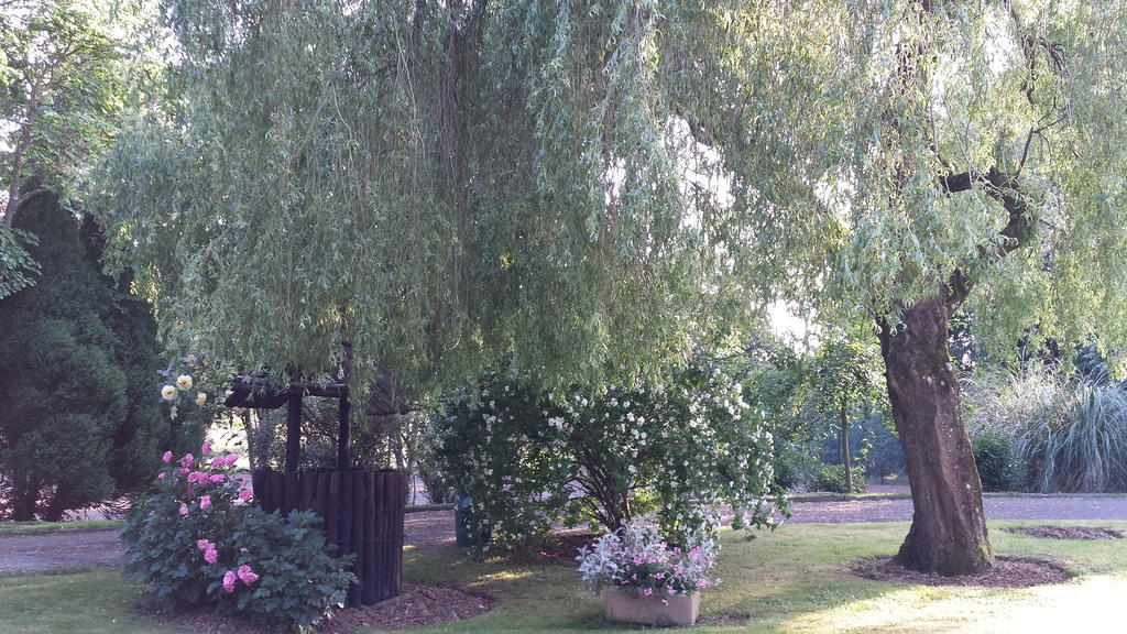 Riverfield Bed And Breakfast Gorey Extérieur photo