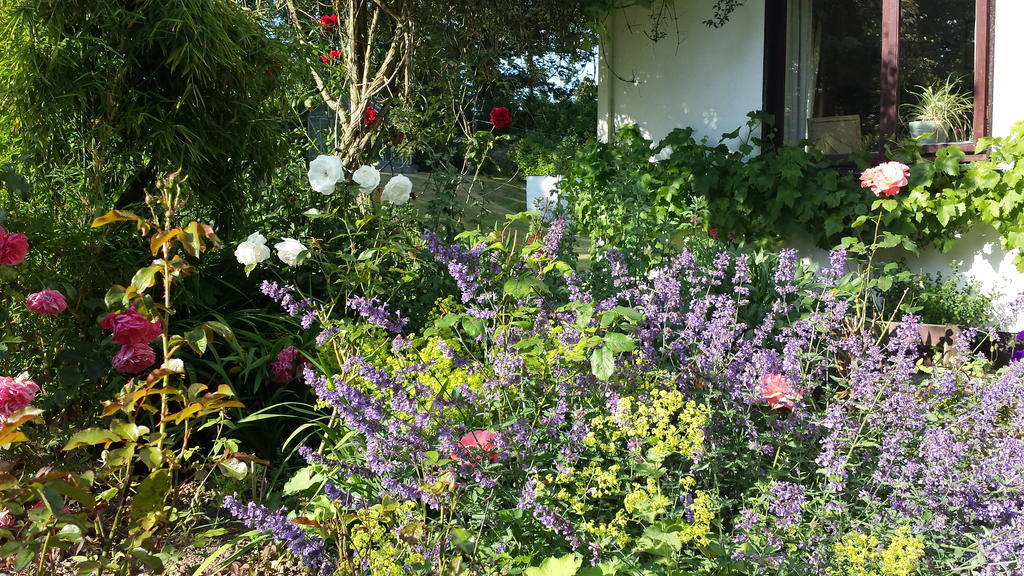 Riverfield Bed And Breakfast Gorey Extérieur photo